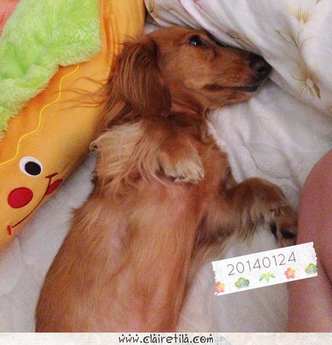 20251024-e5b5u 20251024-e5b5u