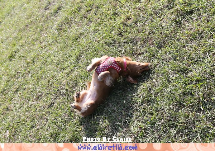 20251024-enrxn 20251024-enrxn