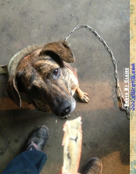 20251024-f0asm 20251024-f0asm