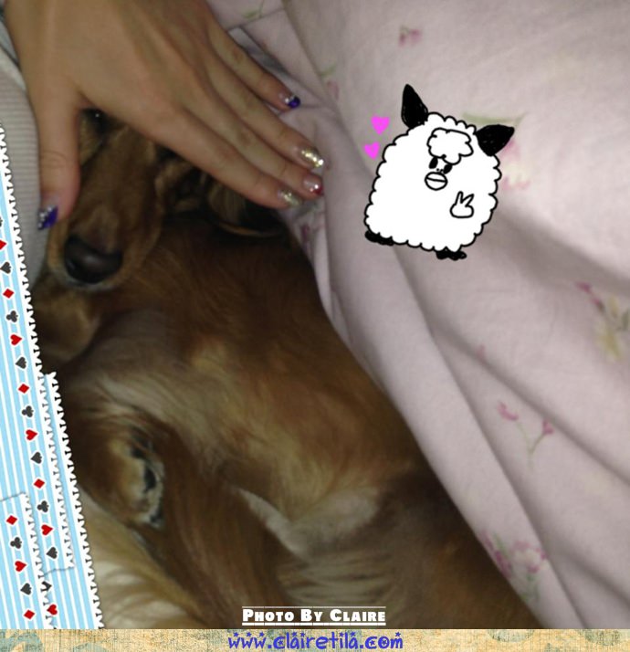 20251024-f0rp1 20251024-f0rp1