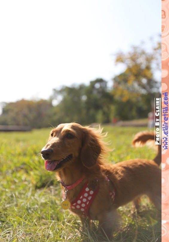 20251024-fnihq 20251024-fnihq