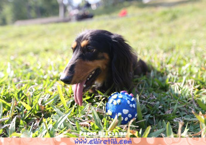 20251024-fsrn3 20251024-fsrn3