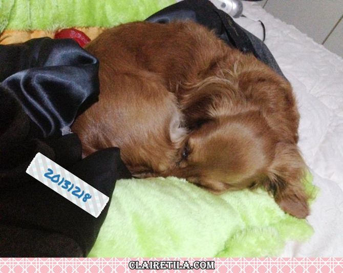 20251024-fwzfx 20251024-fwzfx