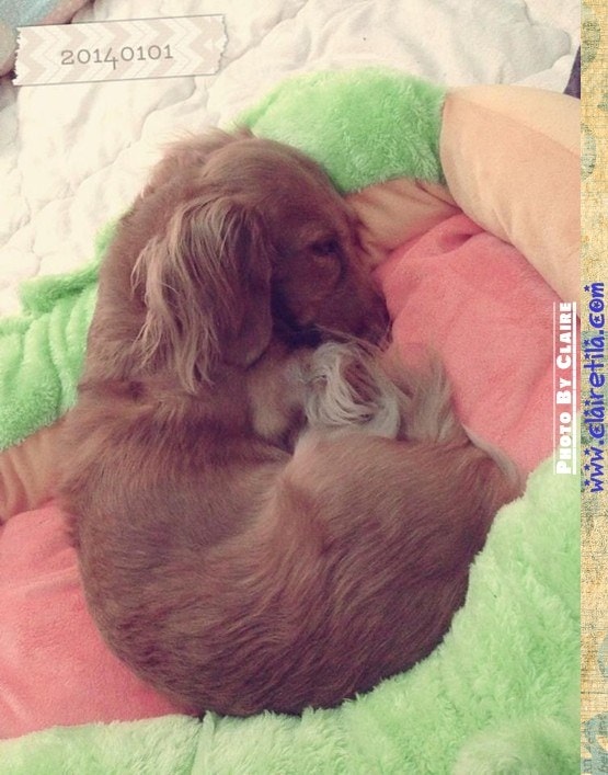 20251024-h3g5k 20251024-h3g5k