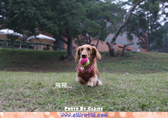 20251024-hs3sh 20251024-hs3sh