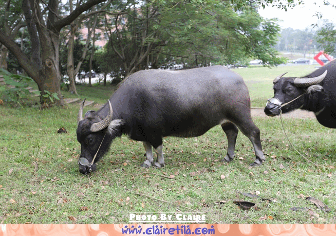 20251024-hzbj8 20251024-hzbj8