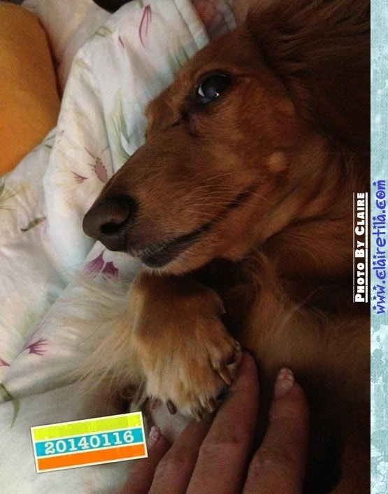 20251024-ixa6v 20251024-ixa6v