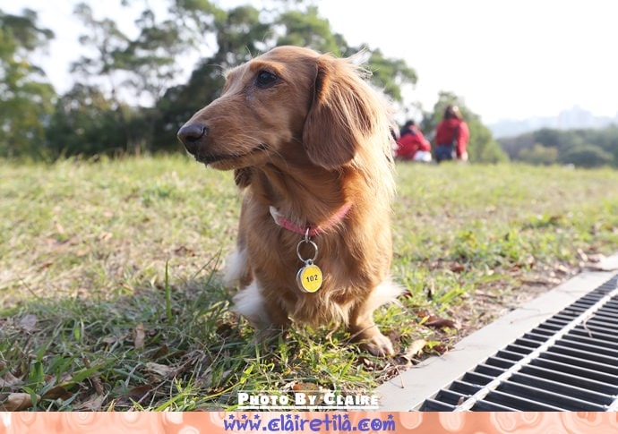 20251024-j0ate 20251024-j0ate