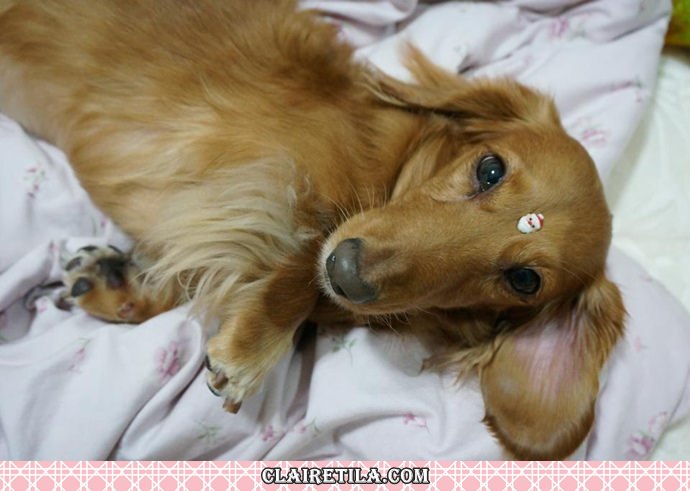 20251024-k0vio 20251024-k0vio