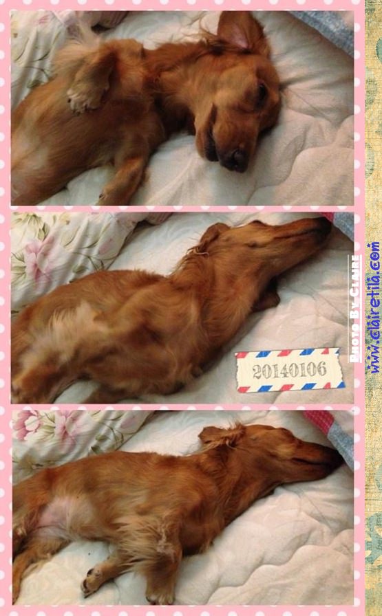 20251024-kh52f 20251024-kh52f