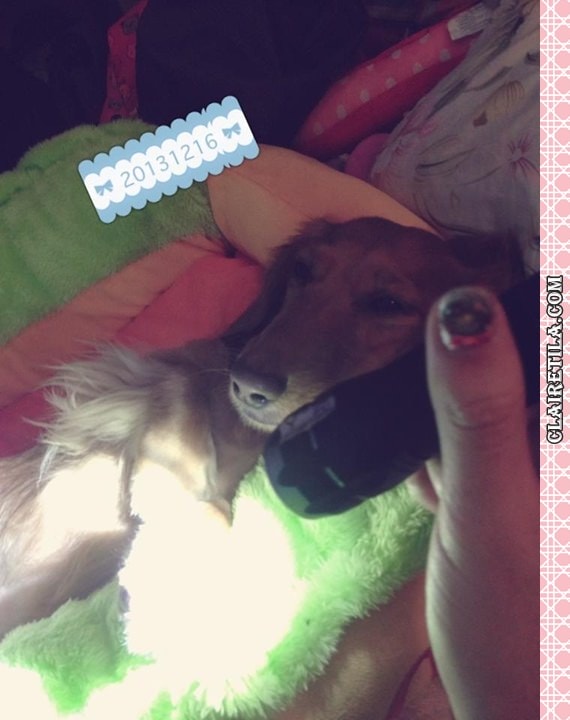 20251024-koydu 20251024-koydu