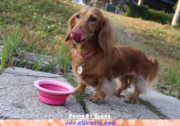 20251024-lyafu 20251024-lyafu