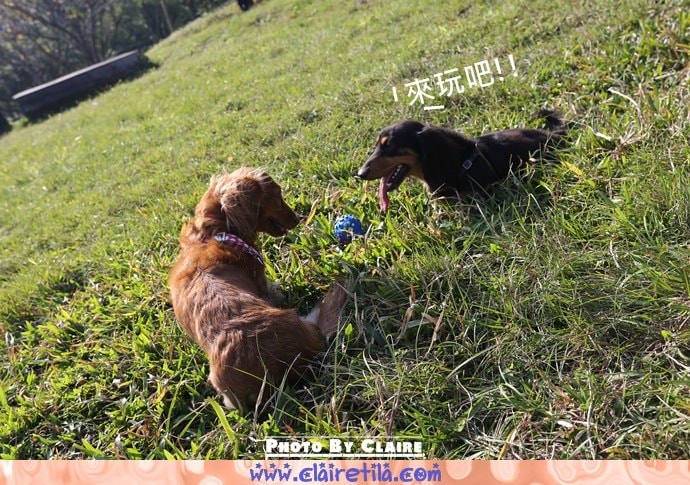 20251024-mcti1 20251024-mcti1