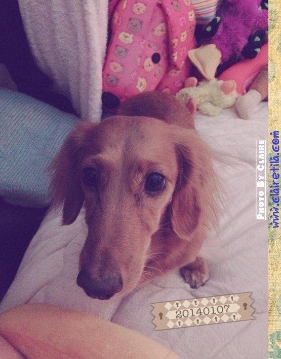 20251024-mz6sf 20251024-mz6sf