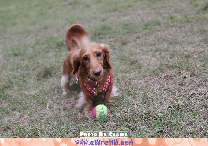 20251024-ny07v 20251024-ny07v