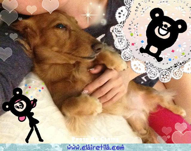 20251024-p2lyc 20251024-p2lyc