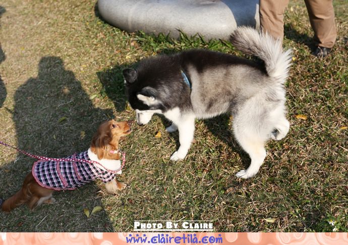 20251024-t67kj 20251024-t67kj