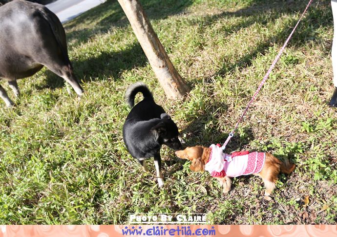 20251024-u0po1 20251024-u0po1