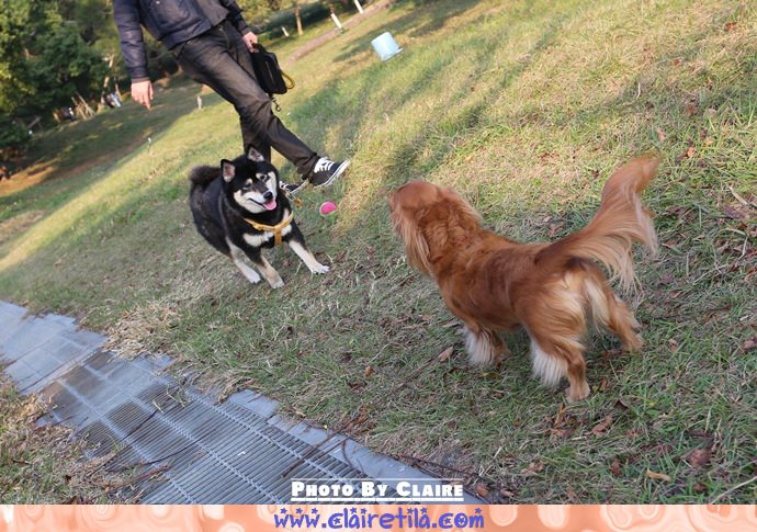 20251024-u4aga 20251024-u4aga