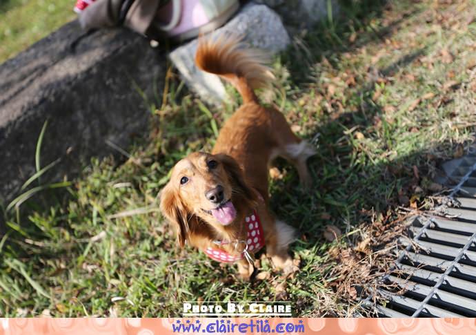 20251024-um3f3 20251024-um3f3