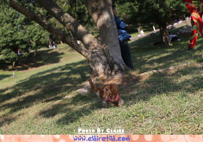 20251024-unvq3 20251024-unvq3