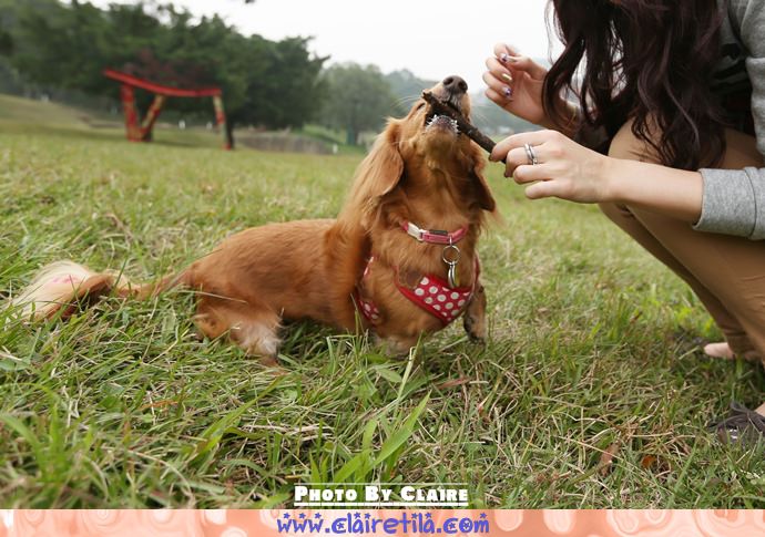 20251024-uprmq 20251024-uprmq