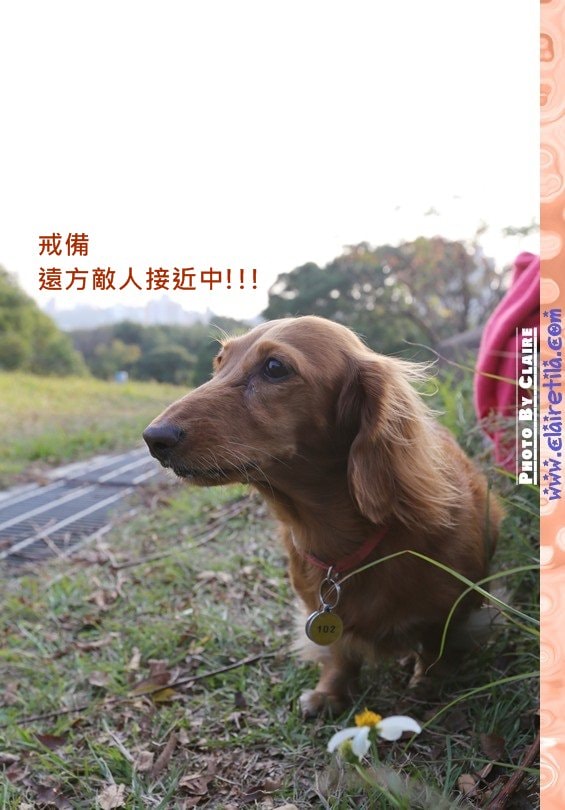 20251024-v98kf 20251024-v98kf