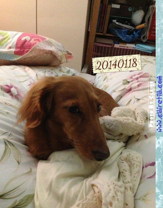 20251024-vm3bt 20251024-vm3bt