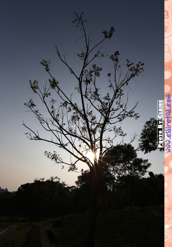 20251024-vzqcv 20251024-vzqcv