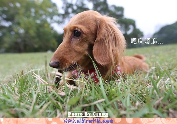 20251024-wwwd4 20251024-wwwd4