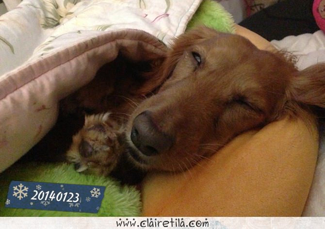 20251024-x47qi 20251024-x47qi