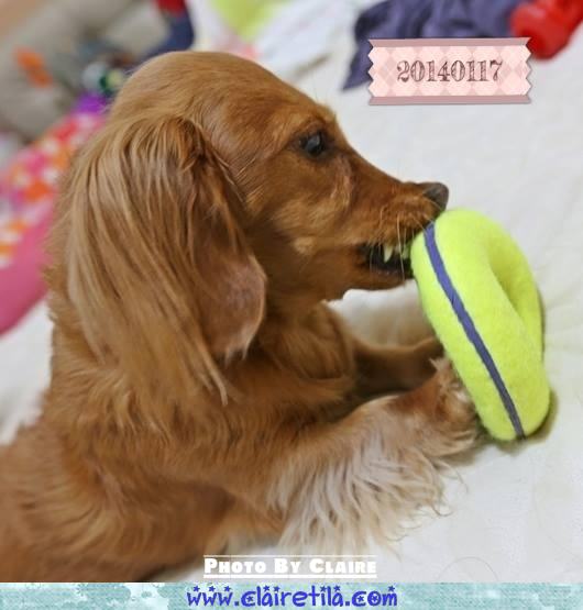 20251024-yfnzz 20251024-yfnzz