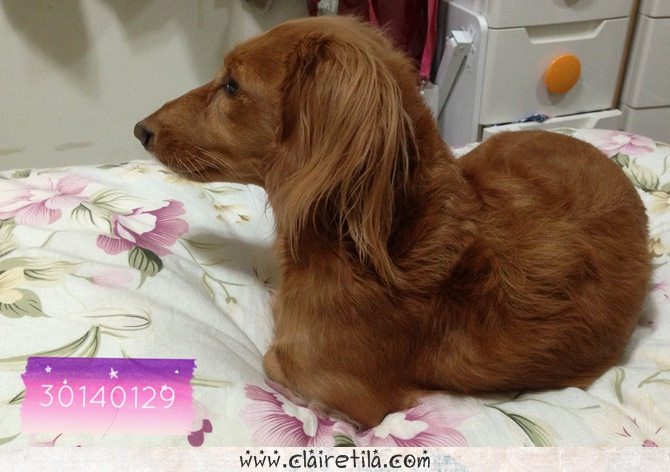 20251024-yiqbq 20251024-yiqbq