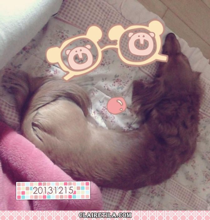 20251024-z5ky9 20251024-z5ky9