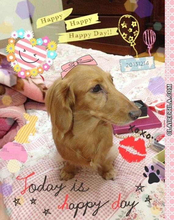 20251024-zn11l 20251024-zn11l