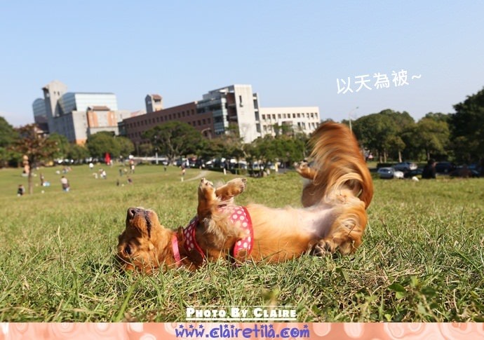 20251024-zxg0a 20251024-zxg0a