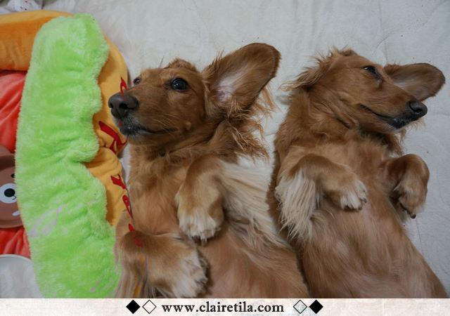 20251024-agbt0 20251024-agbt0