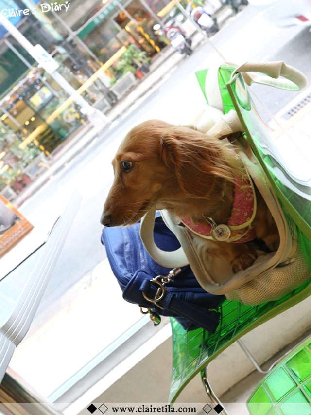 20251024-e3u33 20251024-e3u33