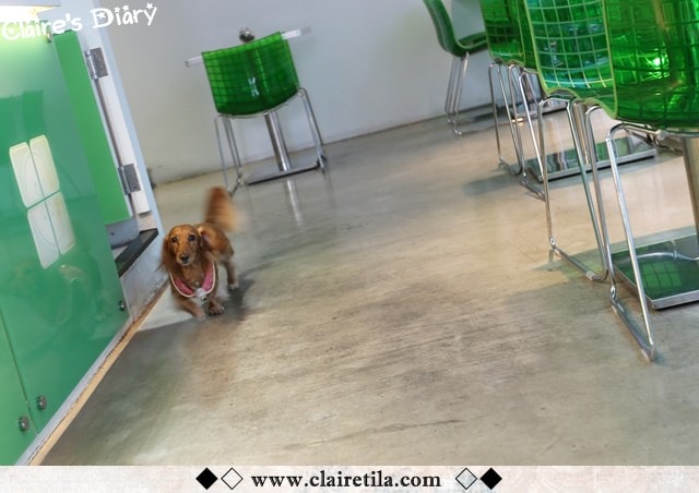 20251024-upa0c 20251024-upa0c