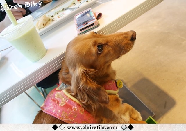 20251024-wzz1k 20251024-wzz1k