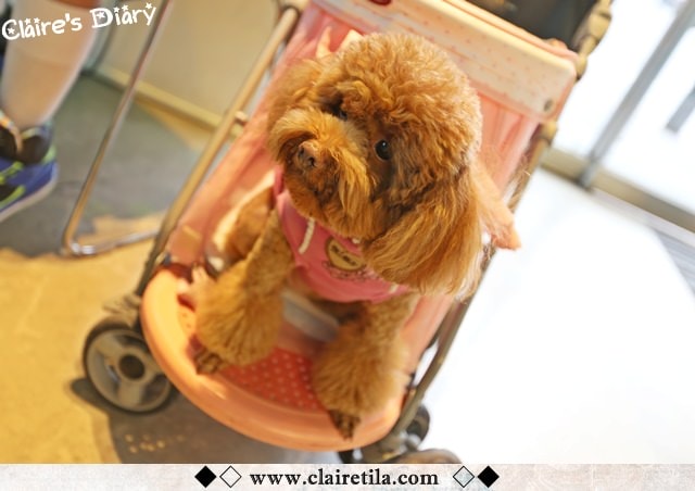 20251024-yjcg8 20251024-yjcg8