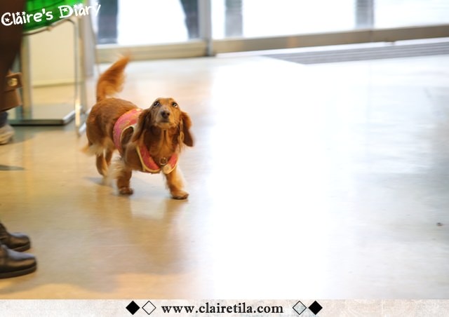 20251024-zmjqb 20251024-zmjqb