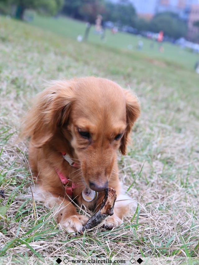 20251024-3zew0 20251024-3zew0