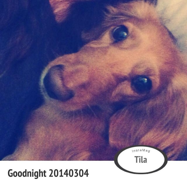 20251024-3zslg 20251024-3zslg