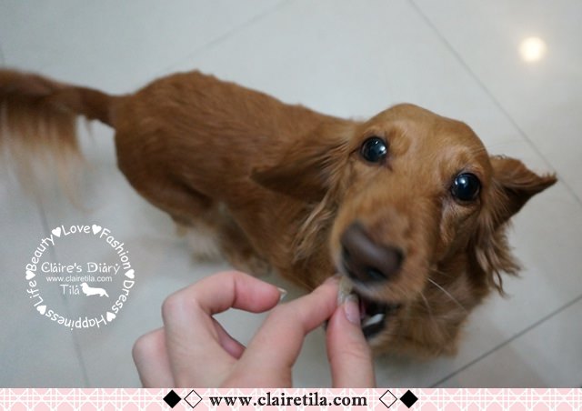 20251024-dis7q 20251024-dis7q