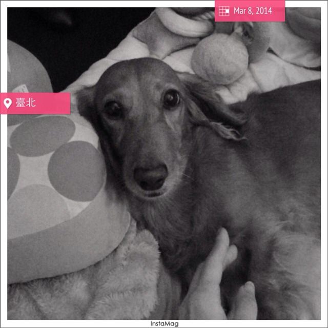 20251024-djv7h 20251024-djv7h