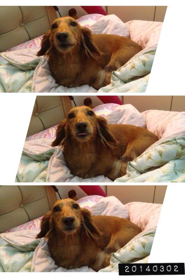 20251024-dnroj 20251024-dnroj