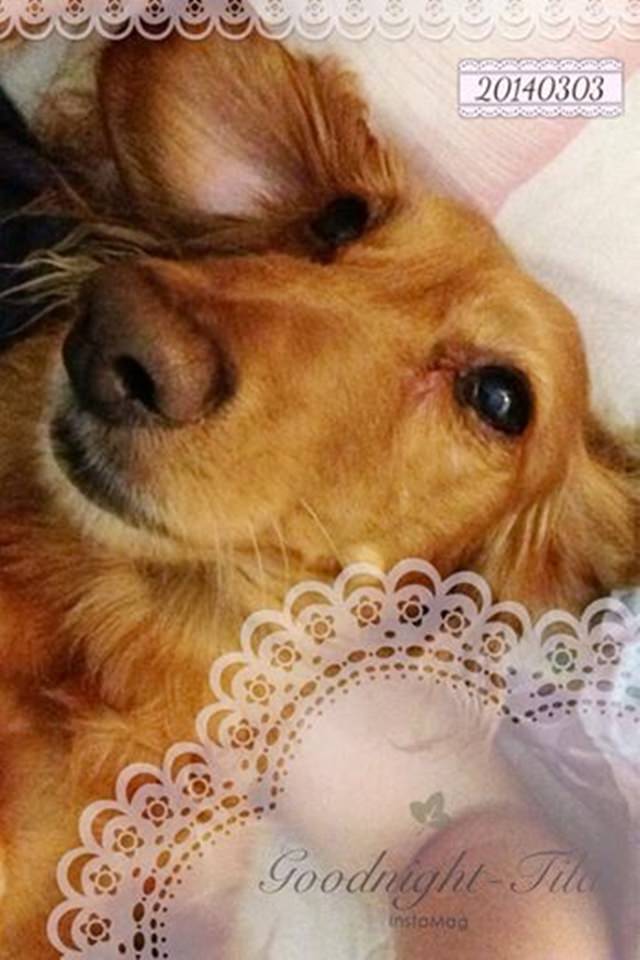 20251024-ffiy1 20251024-ffiy1