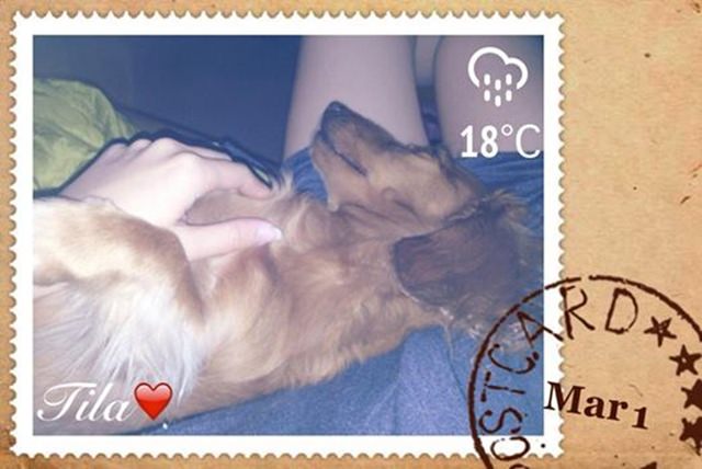 20251024-ihyak 20251024-ihyak