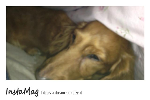 20251024-imvrm 20251024-imvrm